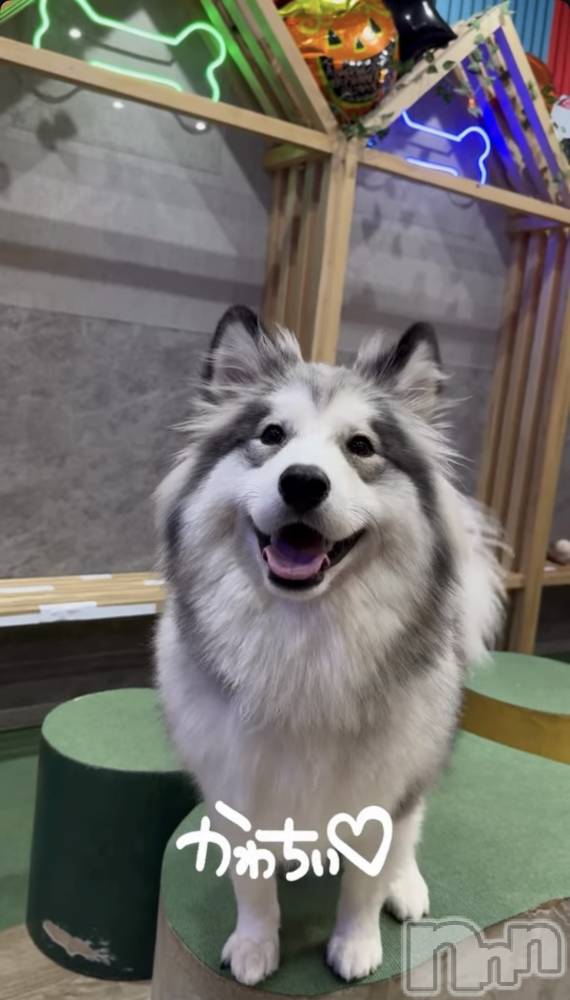 ƲХ顦clubTiara(ƥ) Τ119̥֥119 2241ʬΥ֥