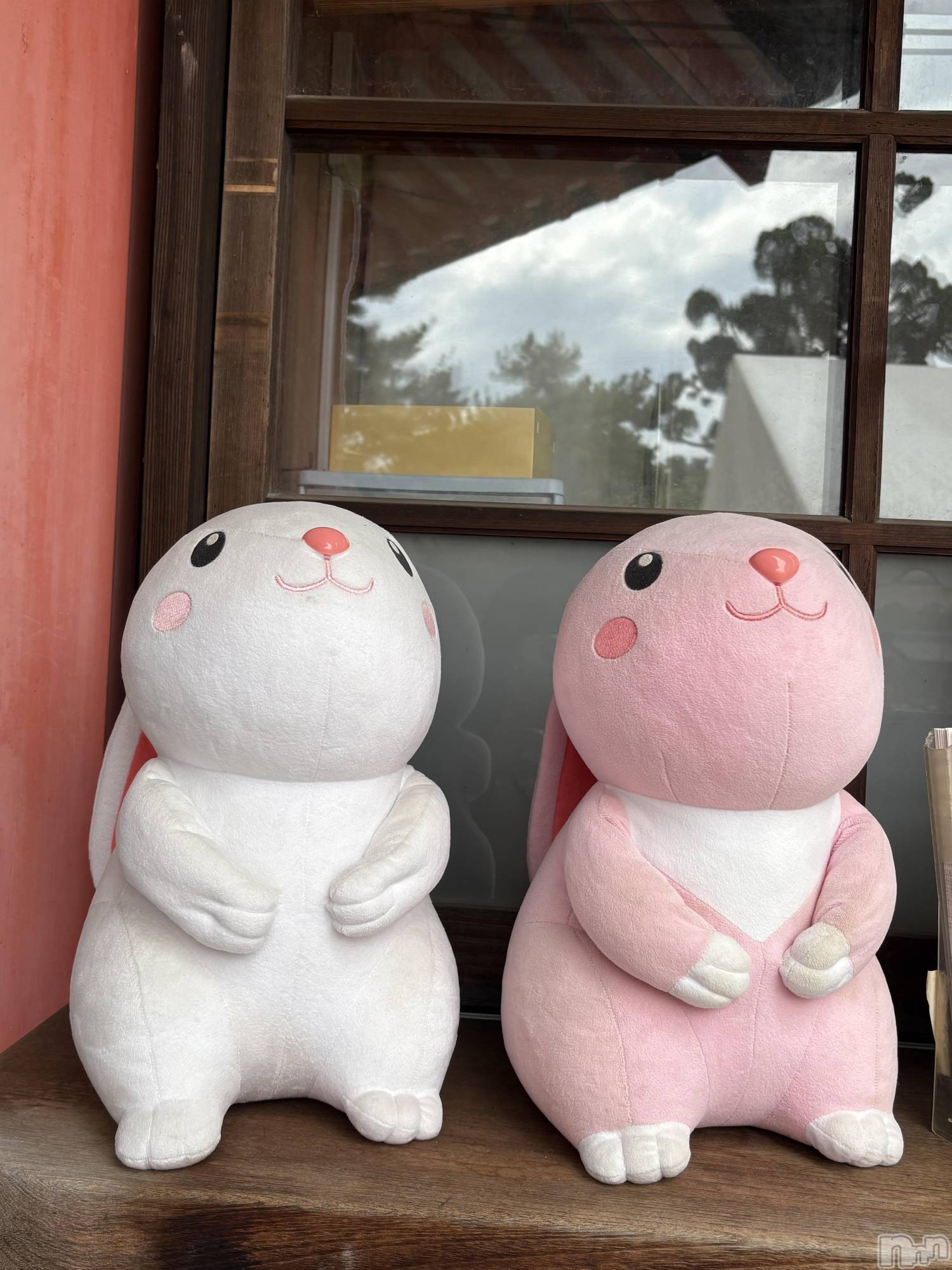 ƲХ顦clubTiara(ƥ) 2025ǯ102ֽ̥֥ߤä🐰🥕🤍