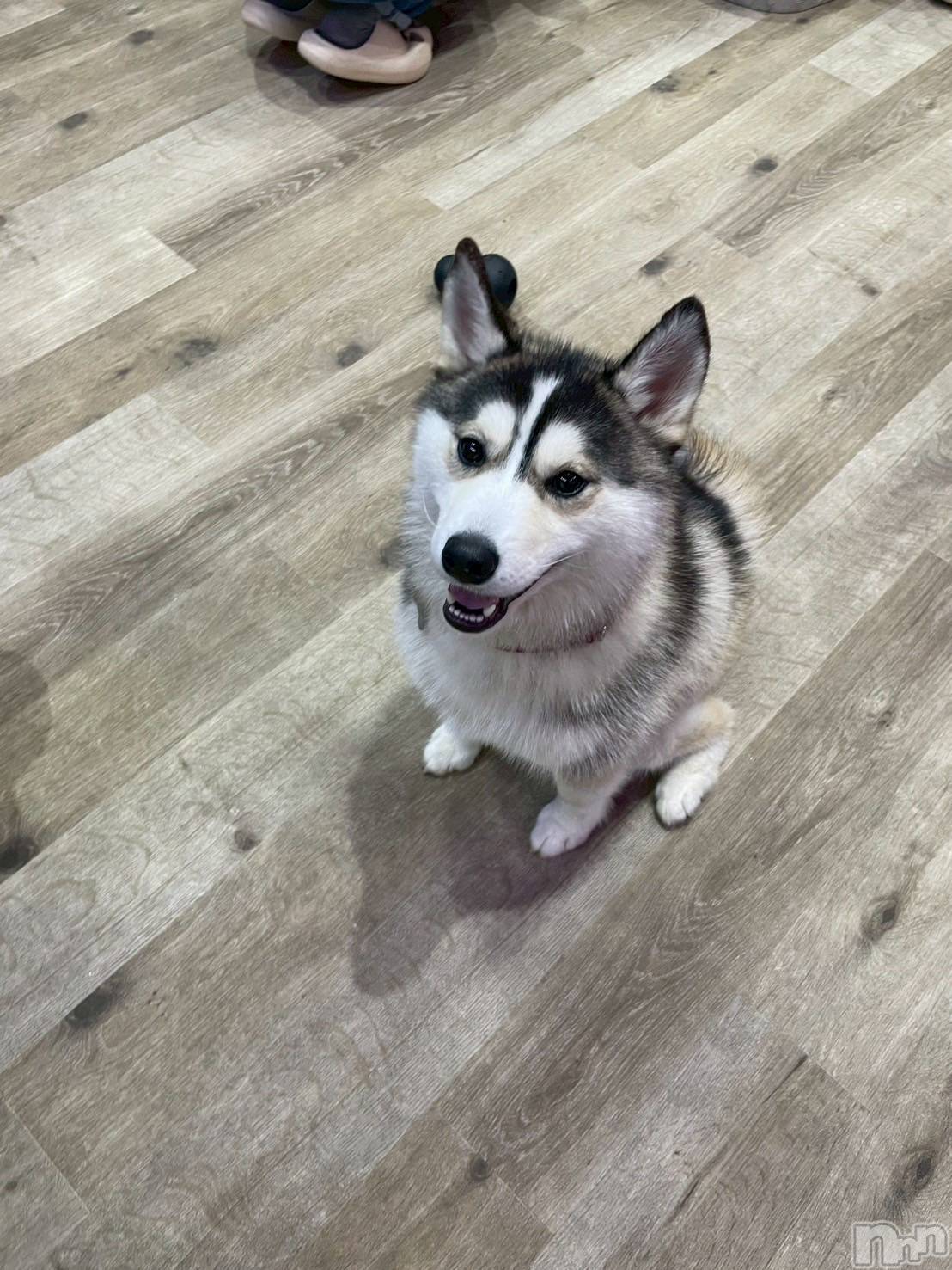 ƲХ顦clubTiara(ƥ) 2025ǯ1027̥֥֤