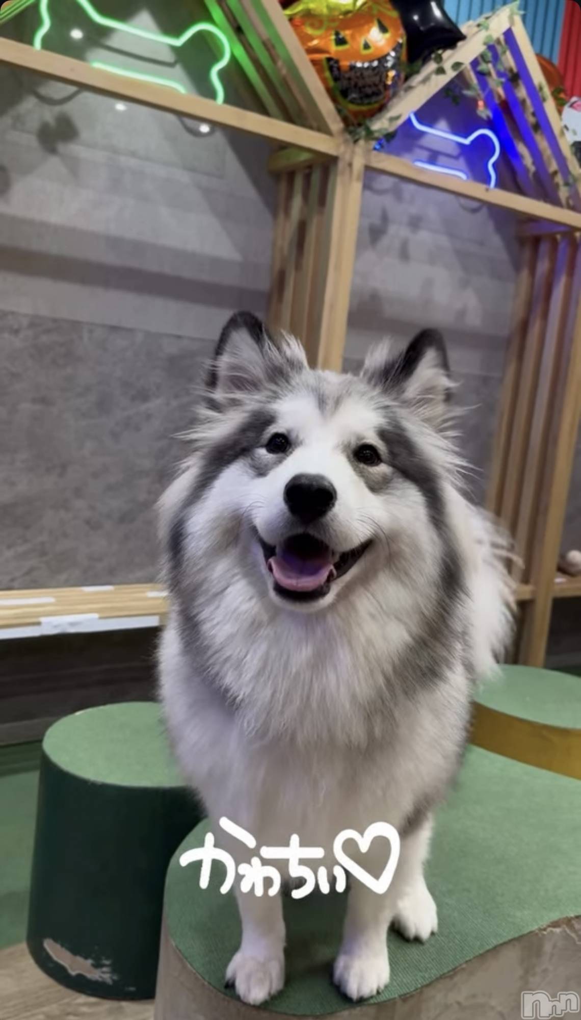 ƲХ顦clubTiara(ƥ) 2025ǯ119̥֥119 2241ʬΥ֥