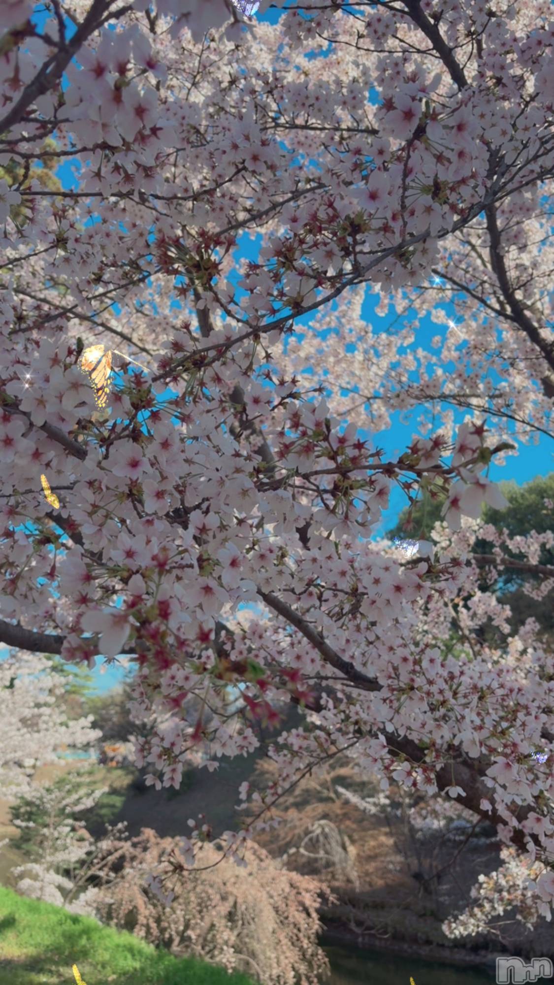 ��Ʋ����Х��顦�����clubTiara(�ƥ�����) ��2026ǯ4��9���̥�֥����֤����