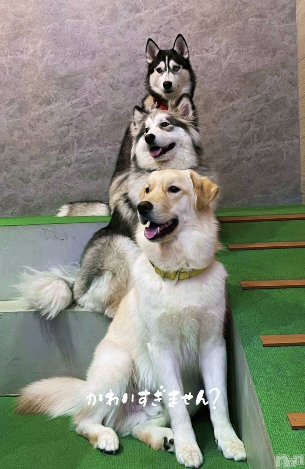 ��Ʋ����Х��顦�����clubTiara(�ƥ�����) ��2026ǯ4��25���̥�֥����֤����