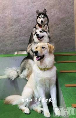 ƲХ顦clubTiara(ƥ) Τ1020̥֥֤