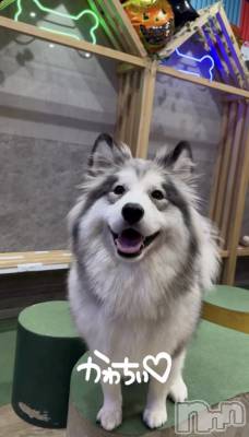 ƲХ顦clubTiara(ƥ) Τ119̥֥119 2241ʬΥ֥