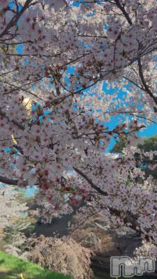 ��Ʋ����Х��顦�����clubTiara(�ƥ�����) �Τ��4��9���̥�֥����֤����