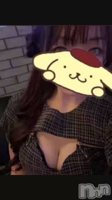 �����Ӥ󤺤����������‪‪❤︎‬