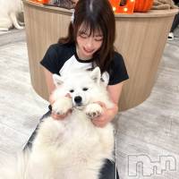のん さんのプロフィール画像