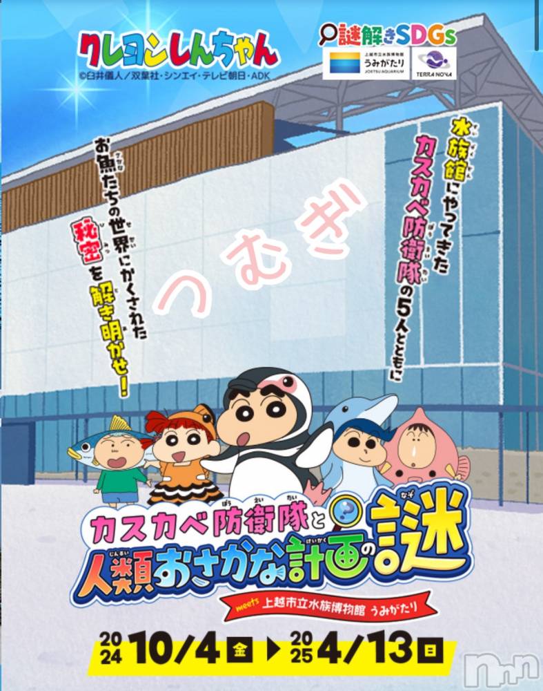 上越デリヘル上越最安値！奥様Deli急便(ジョウエツサイヤスネ！オクサマデリキュウビン) 新人　つむぎ(28)の11月11日写メブログ「🐬✩.*˚」