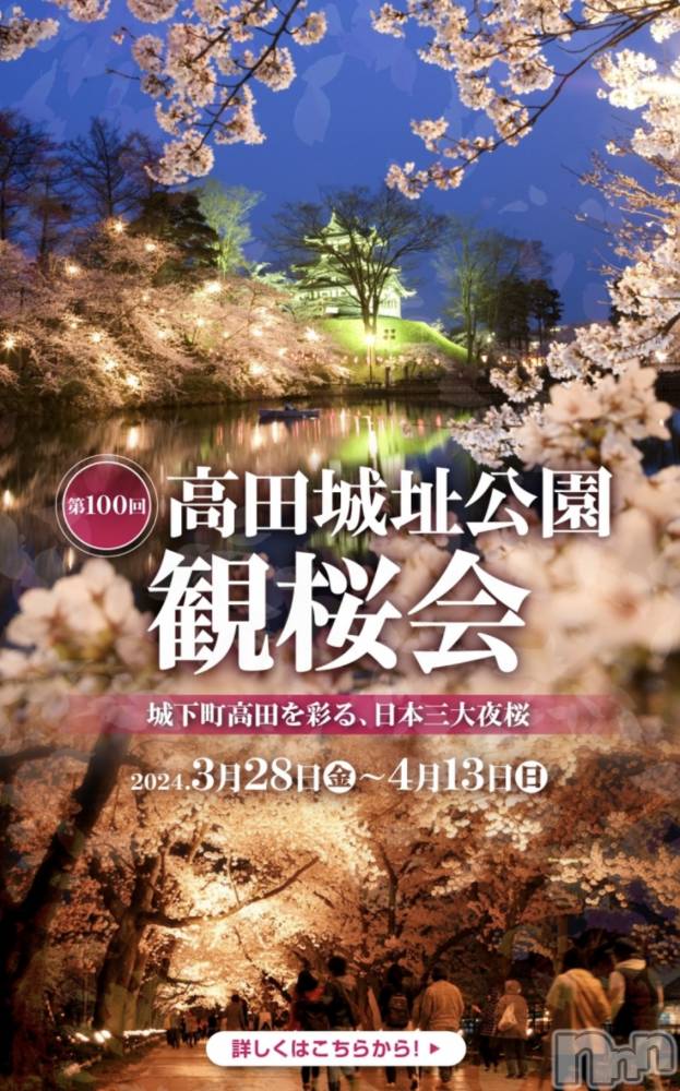 上越デリヘル上越最安値！奥様Deli急便(ジョウエツサイヤスネ！オクサマデリキュウビン) 新人　つむぎ(28)の3月13日写メブログ「観桜会ʚ🌸ɞ」