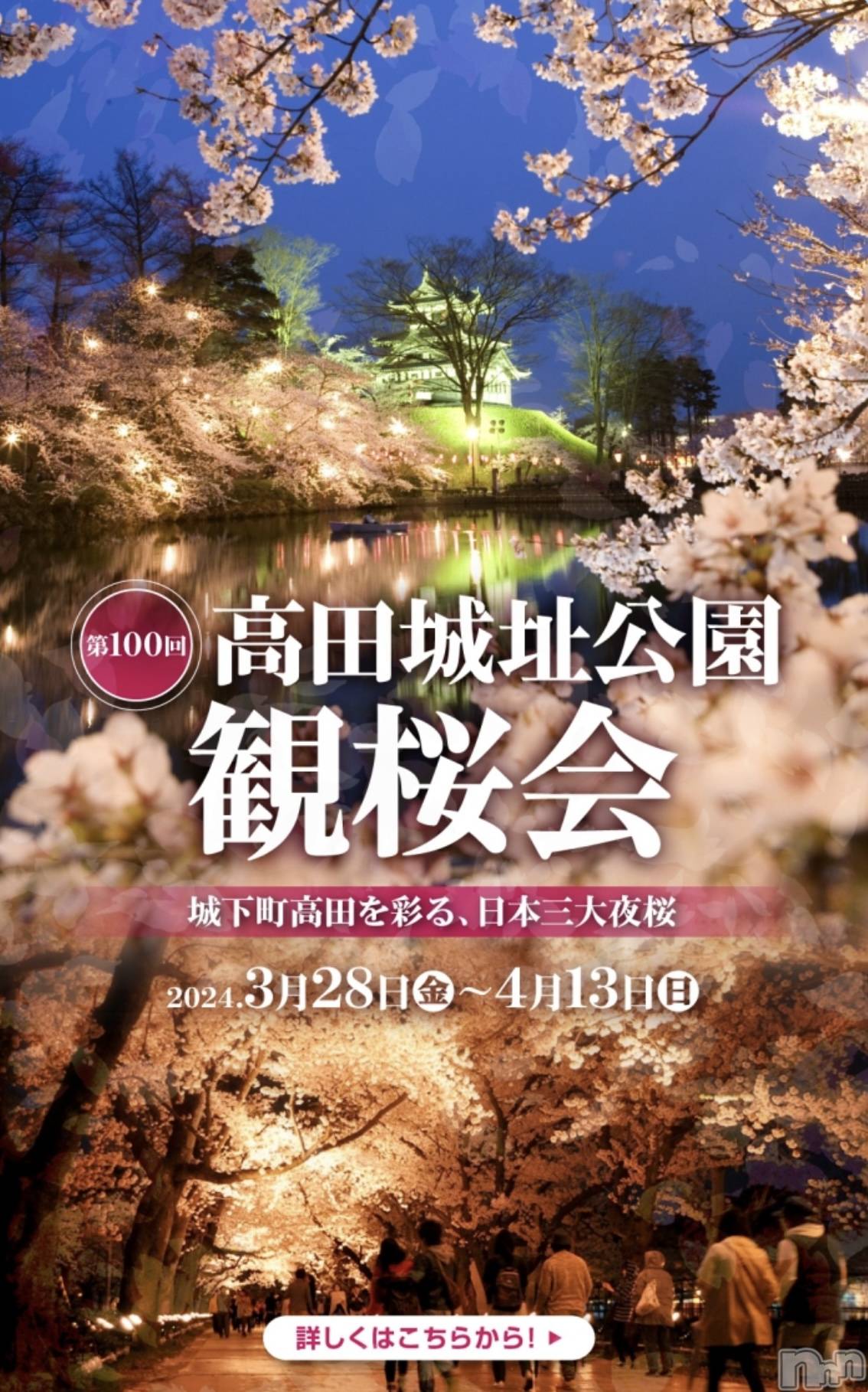 上越デリヘル上越最安値！奥様Deli急便(ジョウエツサイヤスネ！オクサマデリキュウビン)新人　つむぎ(28)の2025年3月13日写メブログ「観桜会ʚ🌸ɞ」