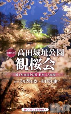 上越デリヘル 上越最安値！奥様Deli急便(ジョウエツサイヤスネ！オクサマデリキュウビン) 新人　つむぎ(28)の3月13日写メブログ「観桜会ʚ🌸ɞ」