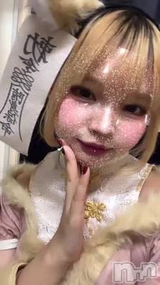 🦊