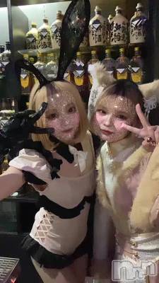 ɥ饤֤פäס