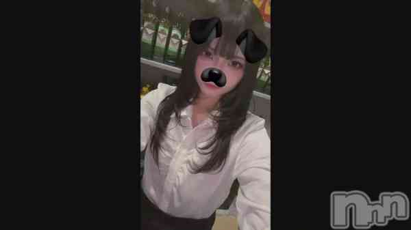 ������✨️��