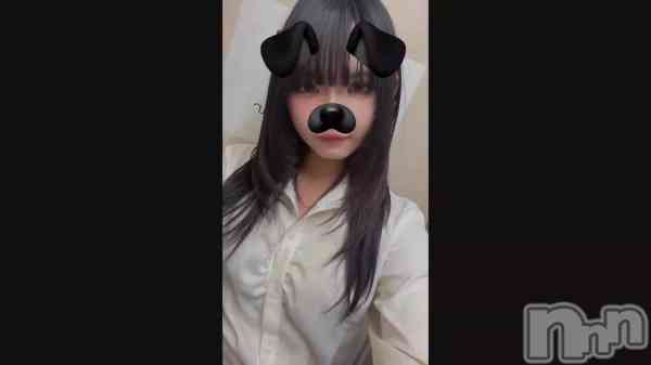 ���㵤����