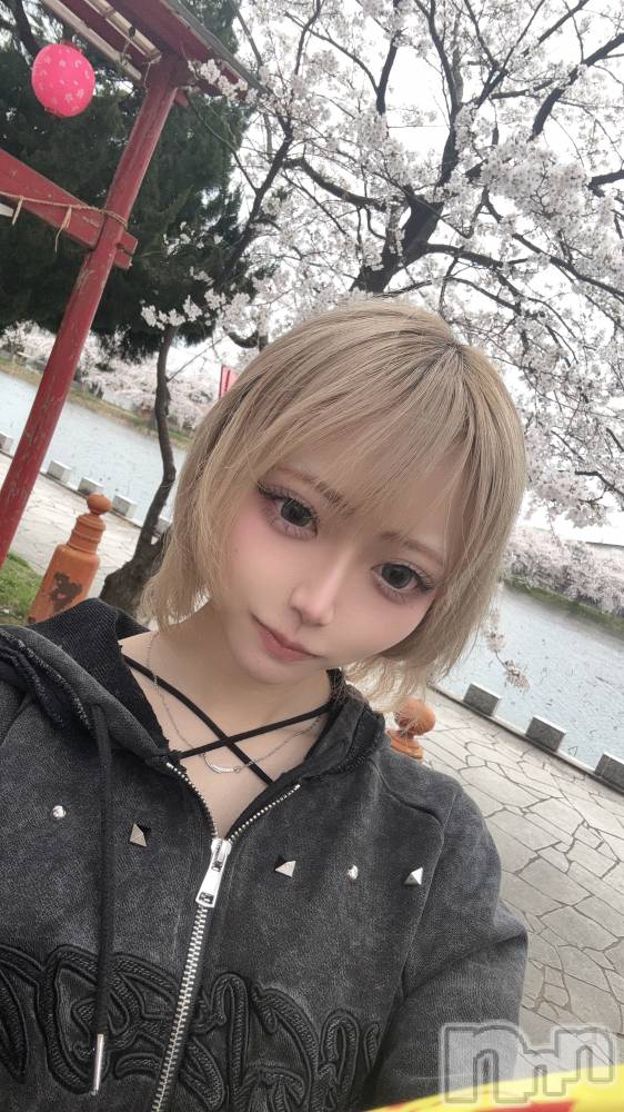 ��Į���ʥå��������륺�С�GIRLS BAR Fable(�����륺�С��ե��֥�) �ʤ���4��6���̥�֥����֤��ָ�🌸��