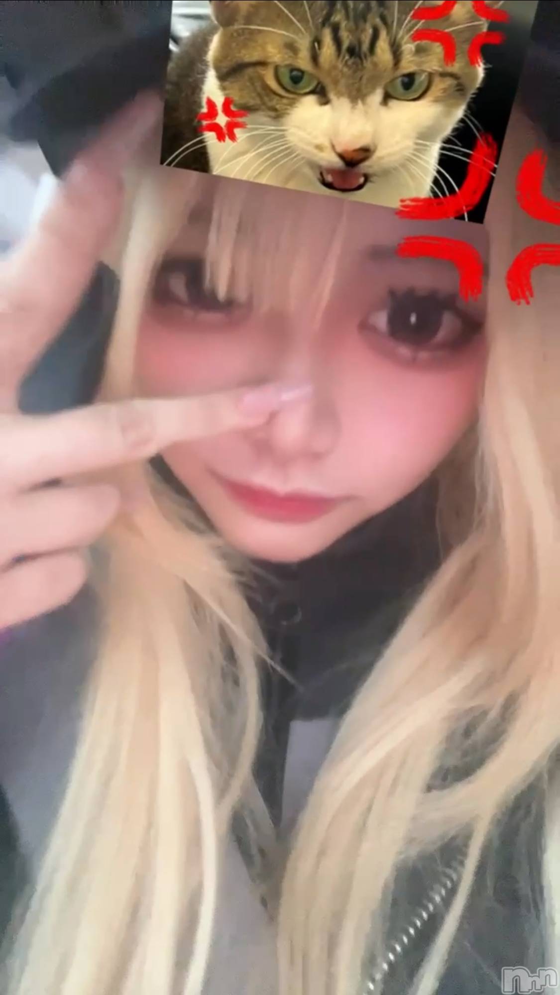 Įʥå륺СGIRLS BAR Fable(륺Сե֥) 2025ǯ211ַ̥֥ɥפȾ🥩‪🔥
