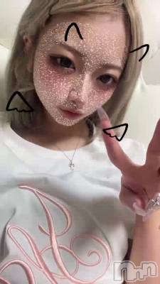 Τӥ˥Х🦀