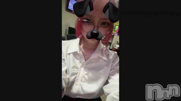 ����ժ������