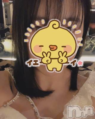 ƲХ顦151-A() ޤ(18)22̥֥22
