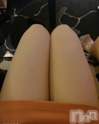 ƲХ顦151-A() ޤ(18)31̥֥31 