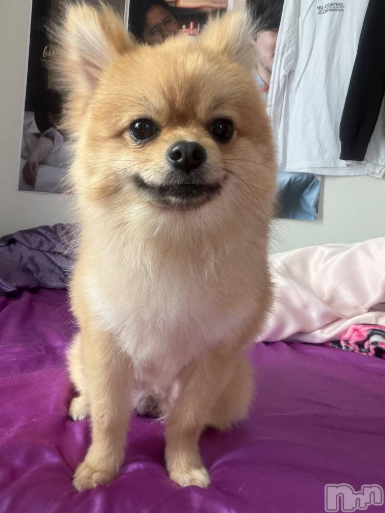 �����������Х��顦�����LYNX(��󥯥�) �����4��21���̥�֥����֤��޸����Ƥ���