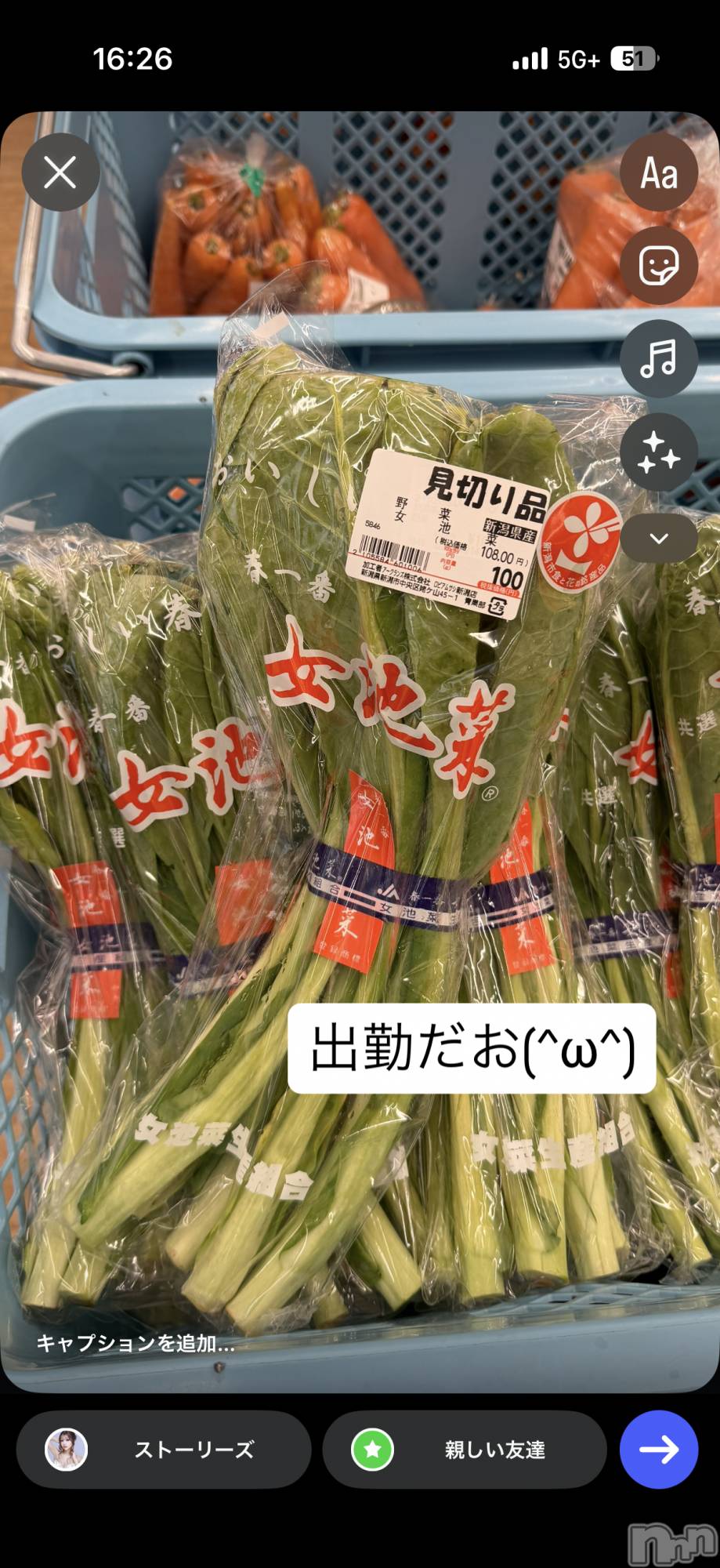 �����������Х��顦�����LYNX(��󥯥�) ��2026ǯ3��12���̥�֥����֤ߤ�ʡ���