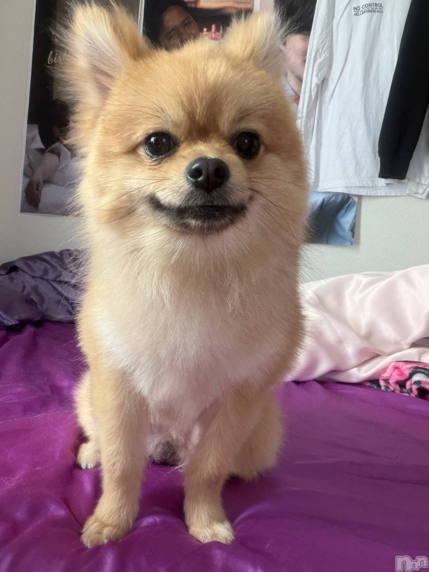 �����������Х��顦�����LYNX(��󥯥�) ��2026ǯ4��21���̥�֥����֤��޸����Ƥ���