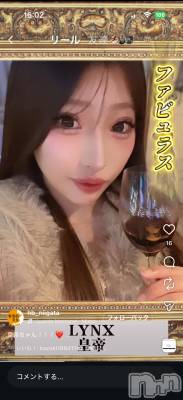 �����������Х��顦�����LYNX(��󥯥�) ����(24)��1��30���̥�֥������繥����