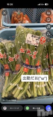 �����������Х��顦�����LYNX(��󥯥�) ����(24)��3��12���̥�֥����֤ߤ�ʡ���