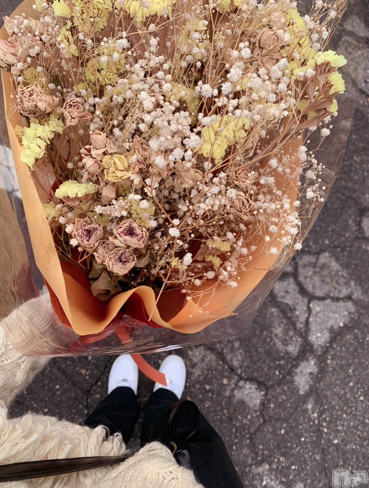 ȯĥХ顦REBIVE(Х) 2025ǯ1010̥֥💐♡