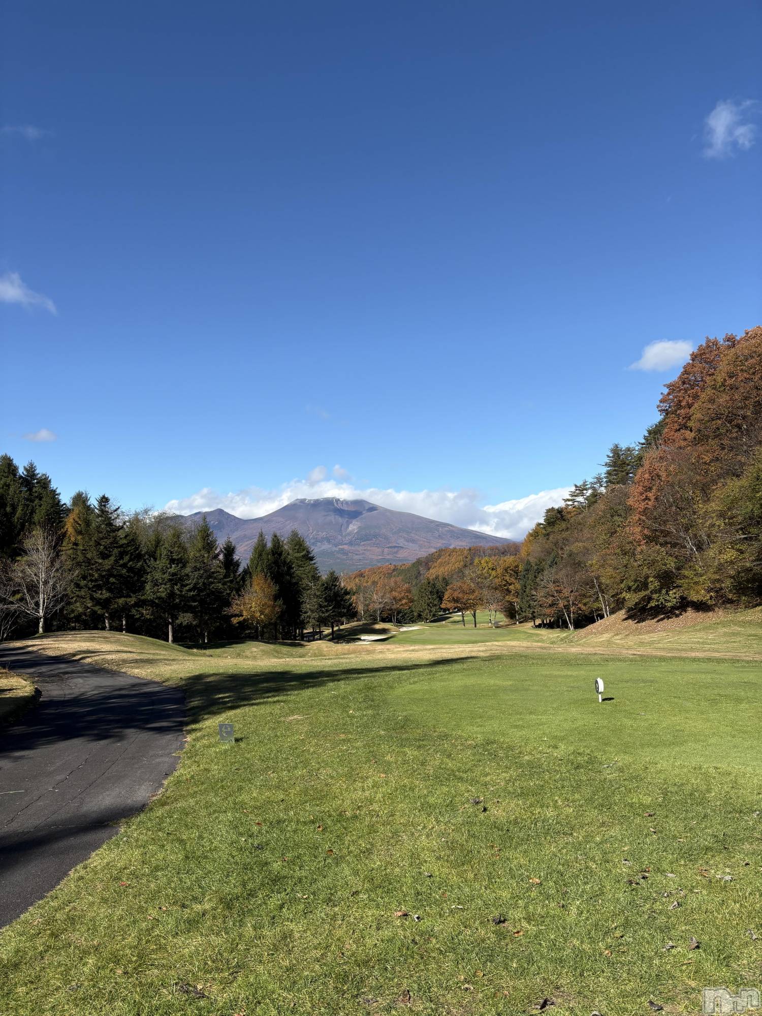 ȯĥХ顦REBIVE(Х) 2025ǯ1123̥֥⛳️