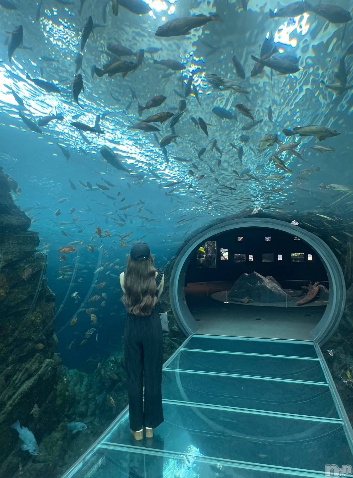 Х顦Lune LYNX(롼󥯥) 2024ǯ66̥֥֥ϥޤäƤ뤳ȡ뎥🐠