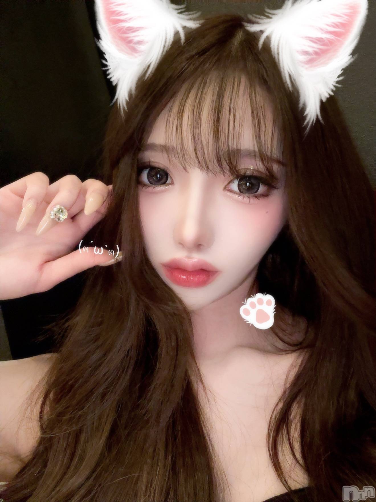 Х顦Lune LYNX(롼󥯥) 2025ǯ710̥֥֤ˤฅ( ꒳​ ฅ)