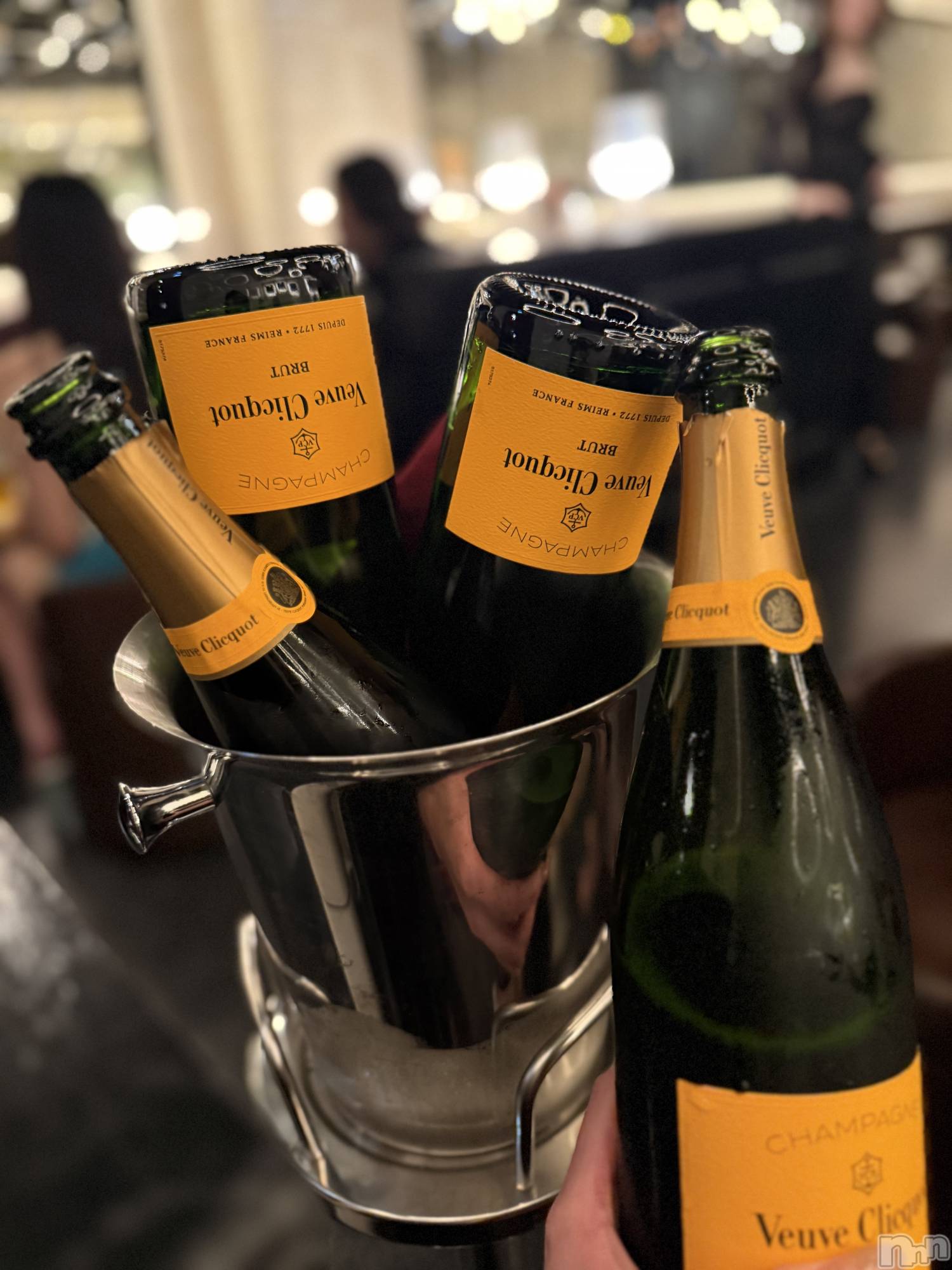 �����������Х��顦�����LYNX(��󥯥�) ��2026ǯ1��24���̥�֥����֤����碌🤭��