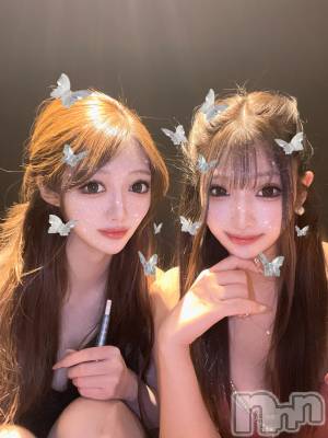 Х顦Lune LYNX(롼󥯥) 120̥֥ääƤ͡