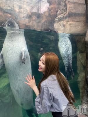Х顦Lune LYNX(롼󥯥) 520̥֥֤襤ä♡