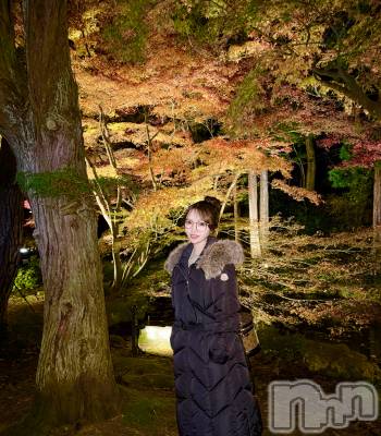 Х顦LYNX(󥯥) 1123ֹ̥֥➰🍂🍁