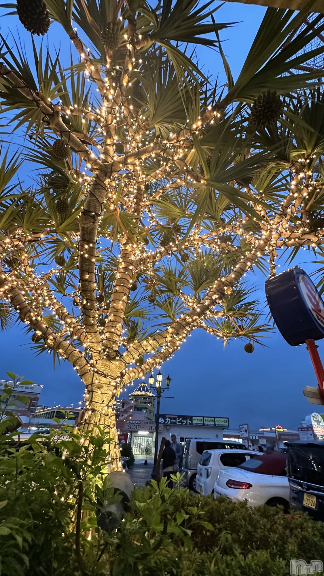 三条デリヘル人妻じゅんちゃん-出稼ぎ0！地元の奥様専門-(ヒトヅマジュンチャン)結城あすか☆細身の綺麗系奥様(40)の2025年6月3日写メブログ「早いもので…」