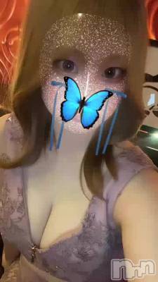 Ǥߤ🦋