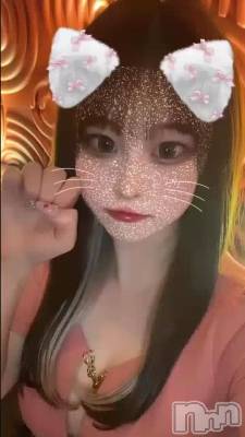 襤ǭܤäơ🐱🐾