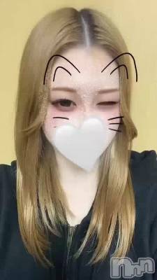 Τ餻Ǥ🕊💬➰