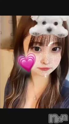 ȱ᤿🐻‍❄️🦋