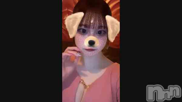 ֤󤳤Ϥ&#x1F436;&#x2753;