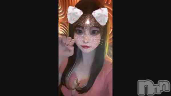 ֤襤ǭܤäơ&#x1F431;&#x1F43E;