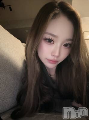 �����������Х��顦����� Diletto(�ǥ���å�) ������β���(1����)