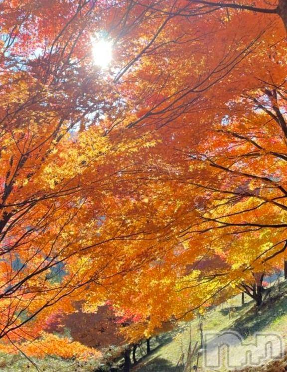 松本発デリヘル松本人妻隊(マツモトヒトヅマタイ)みほ(40)の2025年11月8日写メブログ「次回の出勤✨」