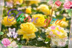 松本発デリヘル松本人妻隊(マツモトヒトヅマタイ) みほ(40)の6月1日写メブログ「今日のお礼✨」