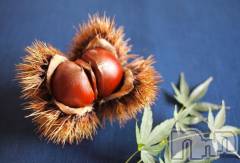 松本発デリヘル松本人妻隊(マツモトヒトヅマタイ) みほ(40)の9月11日写メブログ「出勤のお知らせ✨」