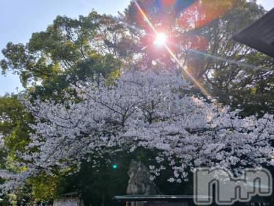 松本発人妻デリヘル 松本人妻隊(マツモトヒトヅマタイ) みほ(40)の4月12日写メブログ「出勤のお知らせ✨」